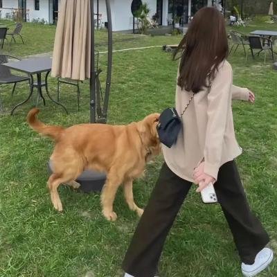 地下诊所第一季